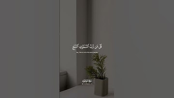#القارئ_ياسر_الدوسري سورة المؤمنون | آية - ٨٤ : ٨٧
