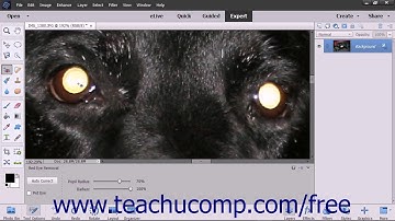 Photoshop Elements 15 Tutorial The Red Eye Removal Tool Adobe Training