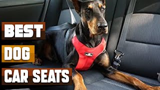 Best Dog Car Seat In 2024  Top 10 Dog Car Seats Review