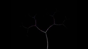 City Computer Education, Nawanshahr - Use of computers