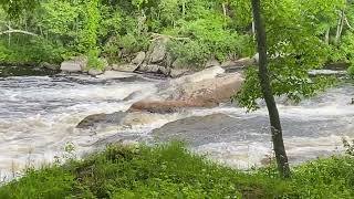 IMG 5092