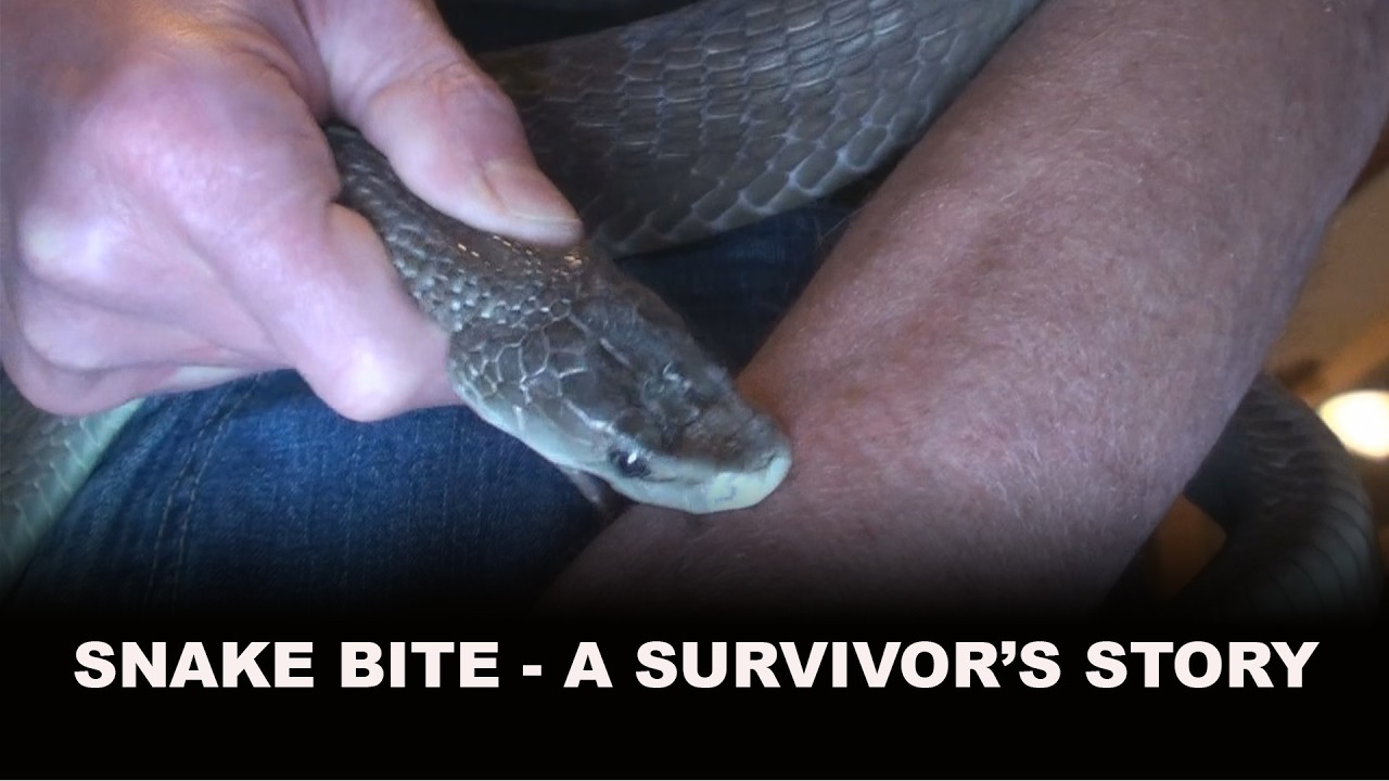 Uploads from CHRICED RADIO & TV