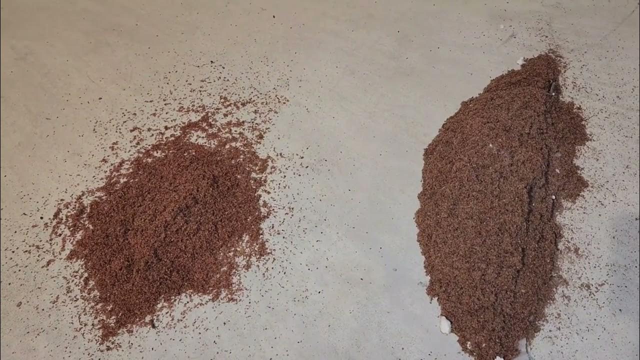 Dusty Basement Floor solved by using Zep Sweeping Compound YouTube