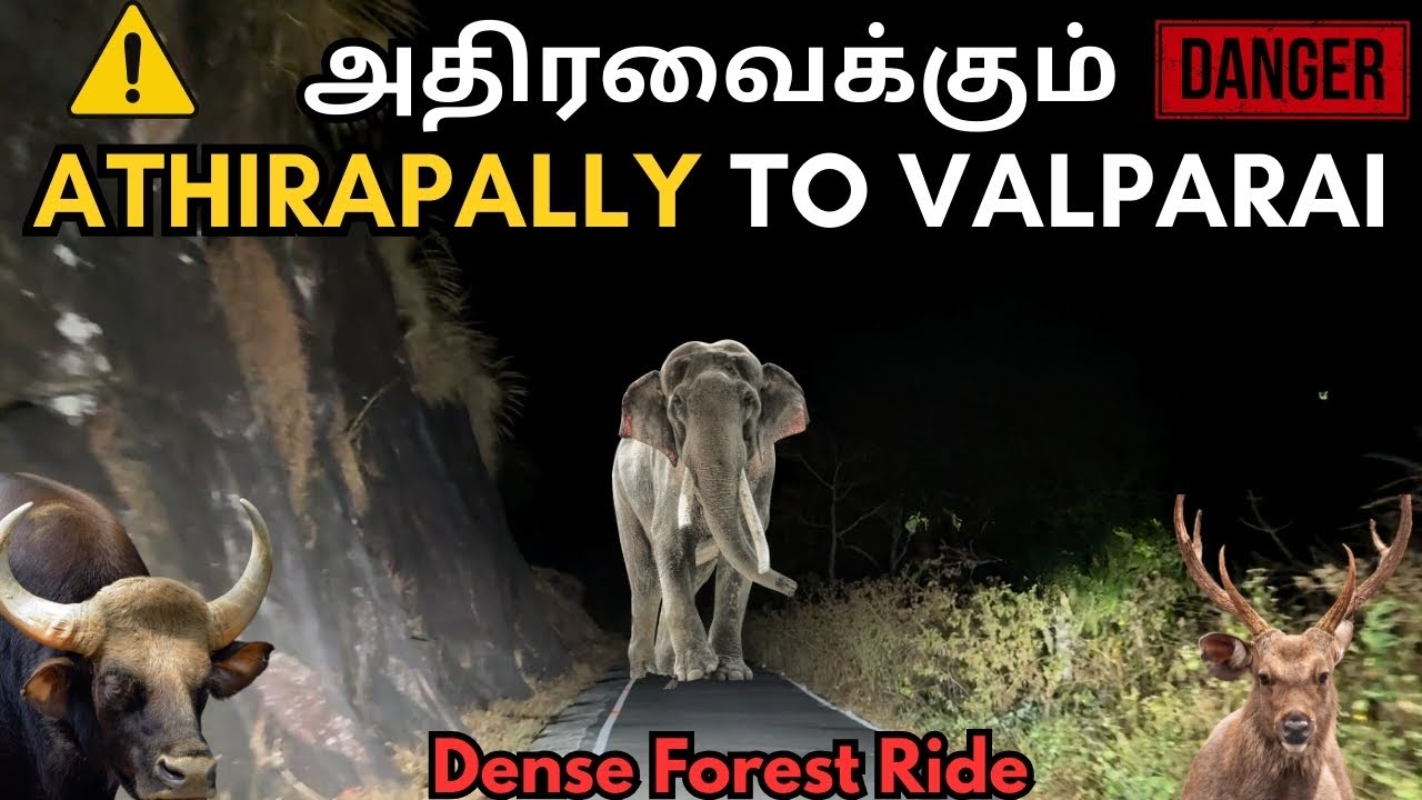 Athirapally to Valparai Night Journey | Deep Forest Experience