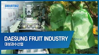 [SmartBiz Accelerators] DAESUNG FRUIT INDUSTRY, gaining recognition in the field of packing bags...