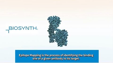 Epitope Mapping