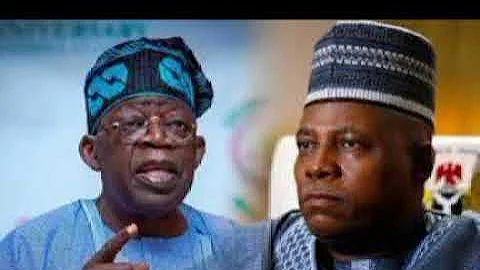 We've Not Endorsed Tinubu:  You'll Be Shock As PFN Reveals Deep Secrets Going On...