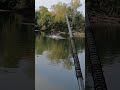 Saut carpe rivière