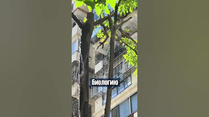 THE TREE IS RELIEVING ITS NEED...)