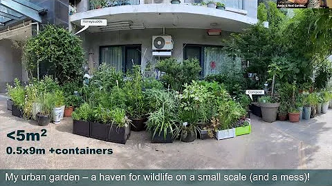 Lee Parks - a landscape architect in China - DayDayNews