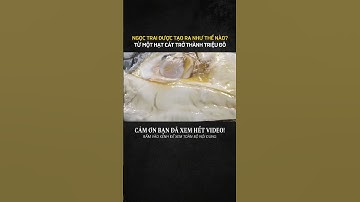 NGỌC TRAI ĐƯỢC TẠO RA NHƯ THẾ NÀO? TỪ MỘT HẠT CÁT TRỞ THÀNH TRIỆU ĐÔ #kienthucthuvi #khamphathegioi