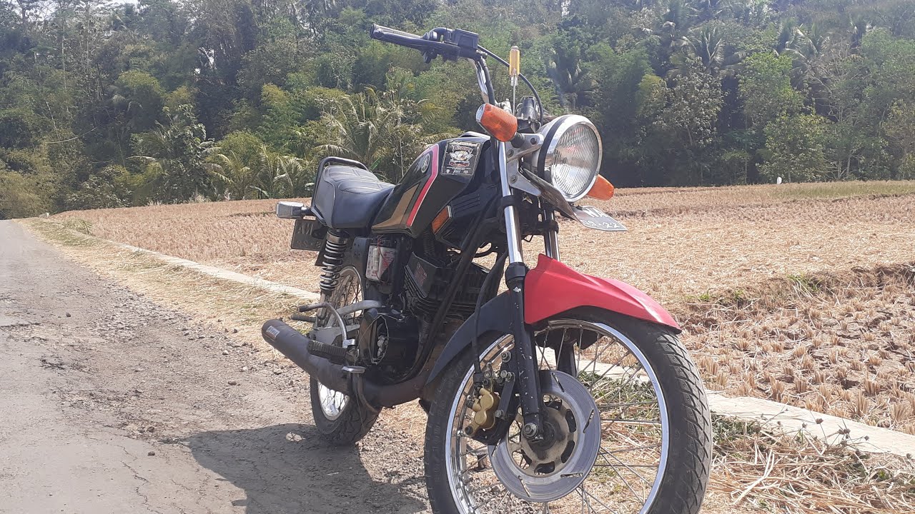 Ciri Ciri Karbu Pwl Ori Ninja - Ini Cirinya
