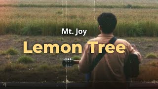 Mt. Joy - Lemon Tree