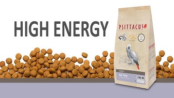 High Energy (English version)