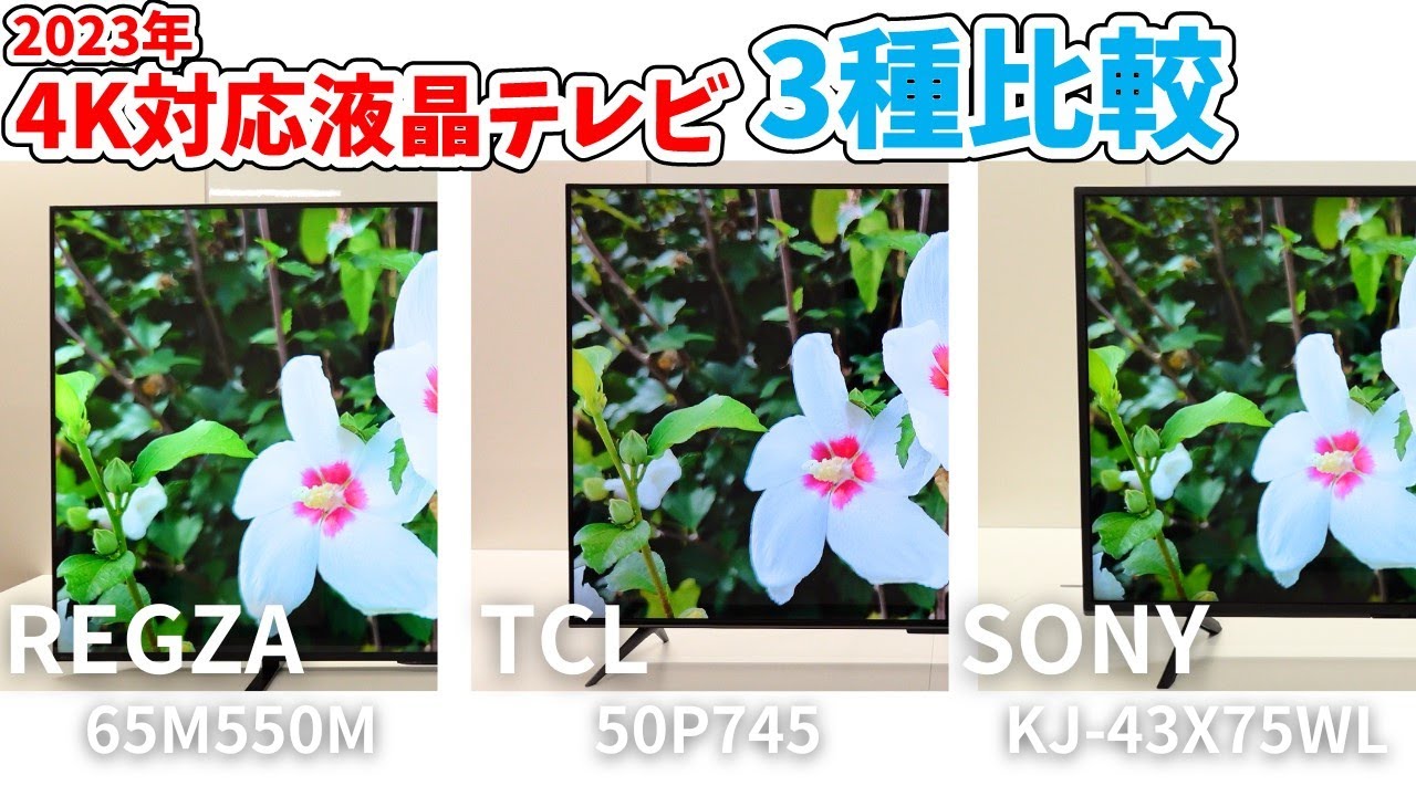 REGZA 65インチ4K液晶モニター レンタル | デジタル機器レンタル