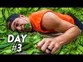 3 Day Spinach-Only Diet Challenge (I almost died...)