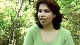 O Cerrado - o segundo maior bioma brasileiro.