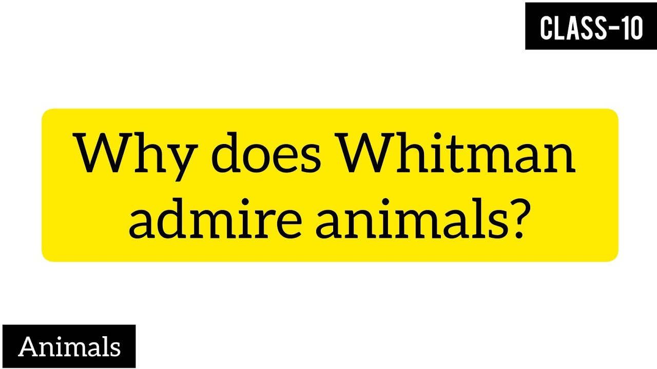 Why does Whitman admire animals | in Hindi | class-10 | Animals | poem-7 -  YouTube