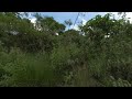 Río caliente en realidad virtual | Episodio #29