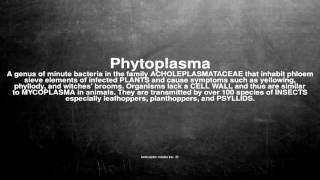 Medical vocabulary: What does Phytoplasma mean