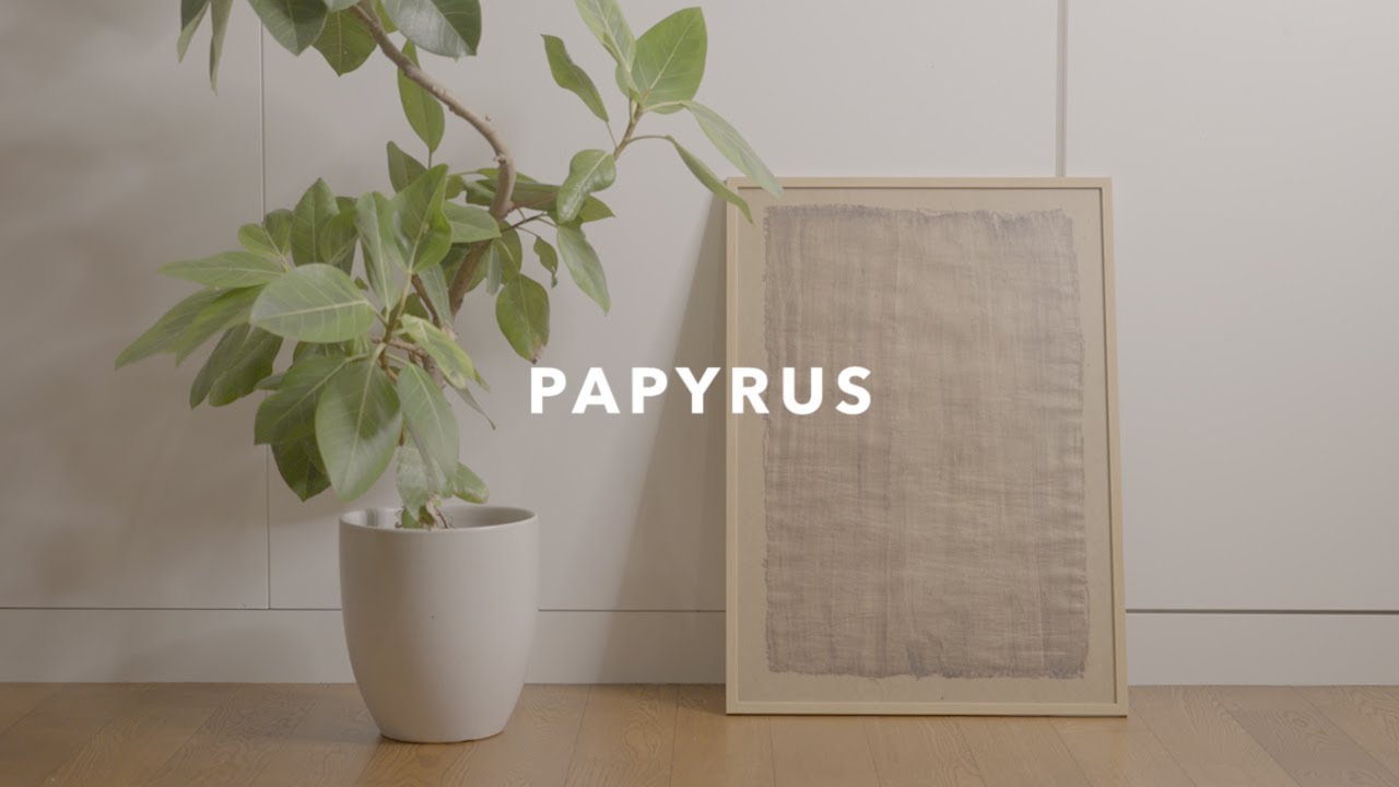 Egyptian papyrus paper, framed and displayed! / Art Frame