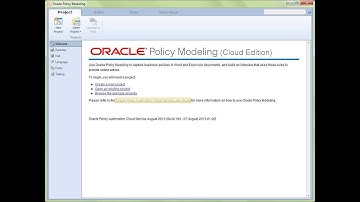 Introduction to the Project View in Oracle Policy Modeling - Cloud Edition