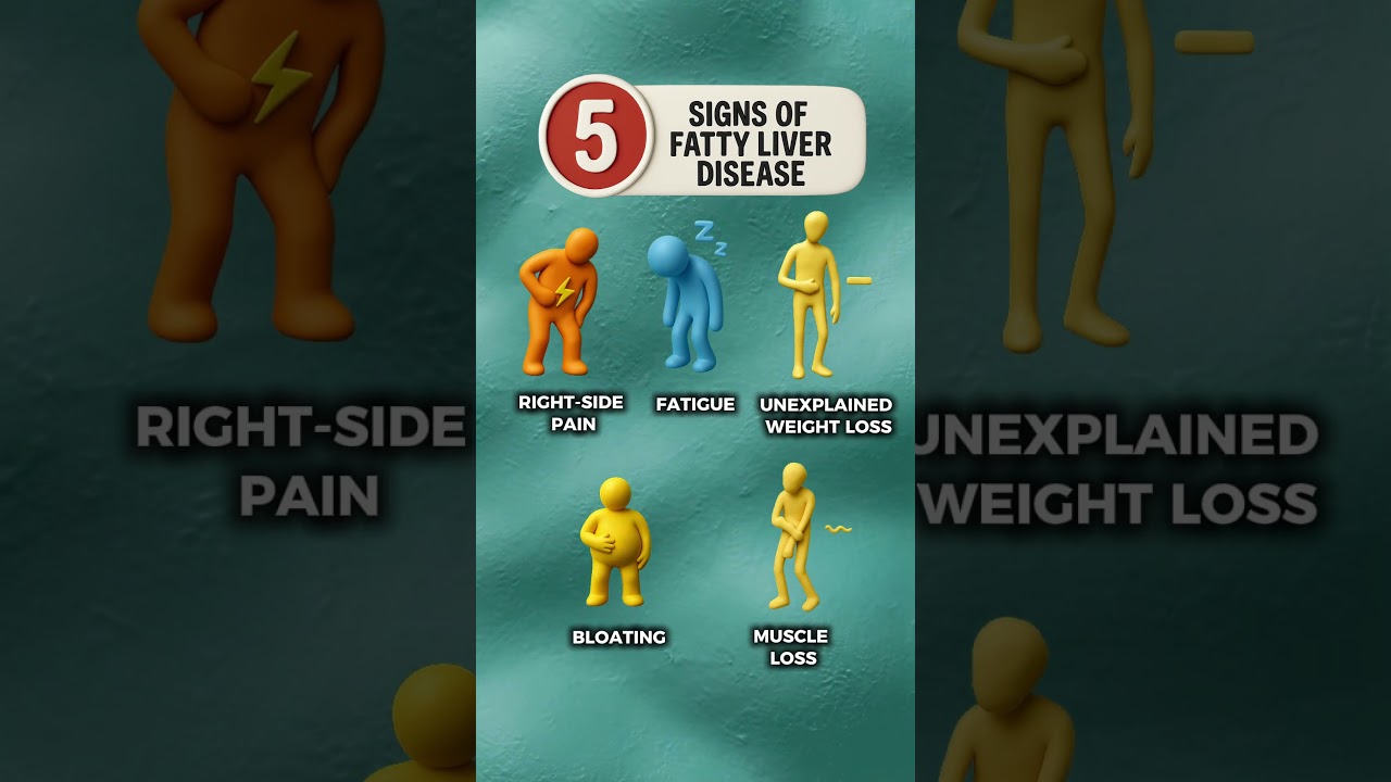 Fatigue and Weight Loss? Your Liver Might Be in Trouble 