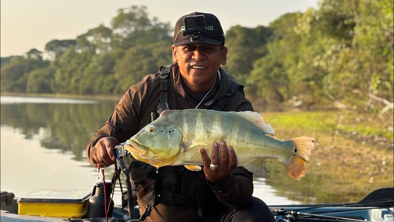 Que gosta de ação  com  muito tucunaré acima de 40 é uma pescaria com os parceiro André e zera.