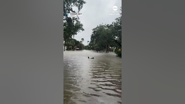 Tropical Storm Debby slams Florida