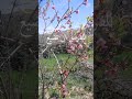 لا تجعل الماضي يسرق منك الحاضر