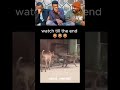 #funny #lifeisbutadream #ethiopiacomedy #etiopia #duet #comedy #memes #funny #funnymemes