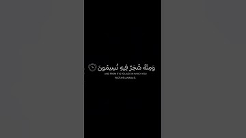 هو الذي انزل من السماء ماء لكم منه شراب ومنه|القارئ ياسر الدوسري|شاشة سوداء #كرومات_قرآن #كروما_قرآن