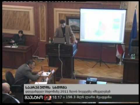 28/01/11 საკრებულოს სხდომა