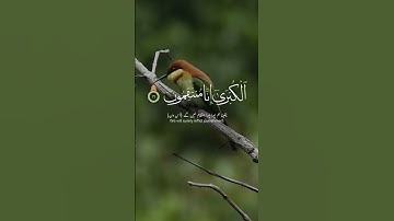 #أحمد_خضر #سورة_الدخان #القرآن_الكريم #راحة_نفسية #fypage #fypforyou #fypyoutube #fyp