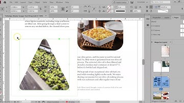 InDesign Tutorial   Change Image Frame Shape, Object Effects and Styles