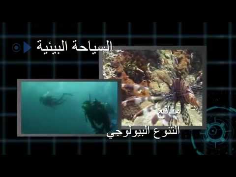 الفيديو الرسمي للسنة الدولية للتنوع البيولوجي 2010