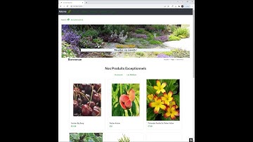 Symfony 5.4-Démonstration site Naturea - Php et Symfony