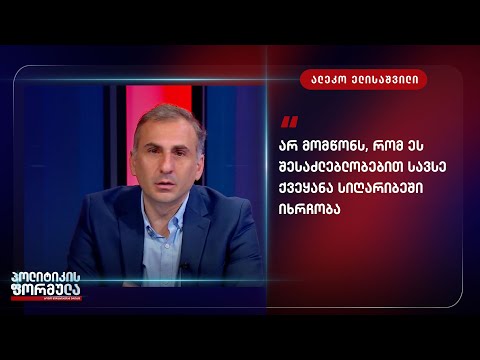 გული მიკვდება და არ მომწონს, რომ ეს შესაძლებლობებით სავსე ქვეყანა სიღარიბეში იხრჩობა -  ელისაშვილი