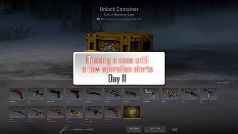 Opening a case until a new CS2 operation starts - Day 11