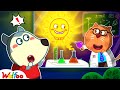 How Was The Sun Made? - Wolfoo Learns Easy DIY Science Experiment for Kids | Wolfoo Family