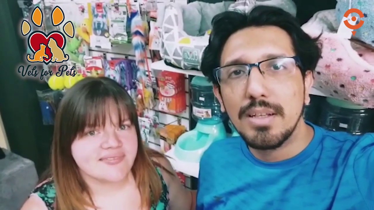 VET FOR PETS SE UNE A MAKEPLACE.CL YouTube