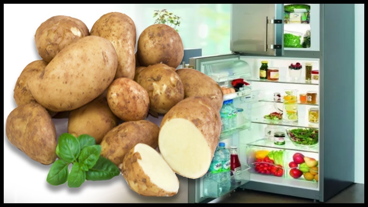 картошку можно хранить в холодильнике