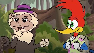 Woody Woodpecker | Woody&#39;s great adventure with a monkey | Woody Woodpecker