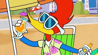 Woodys Holiday Mission 1 Hour Compilation Woody Woodpecker