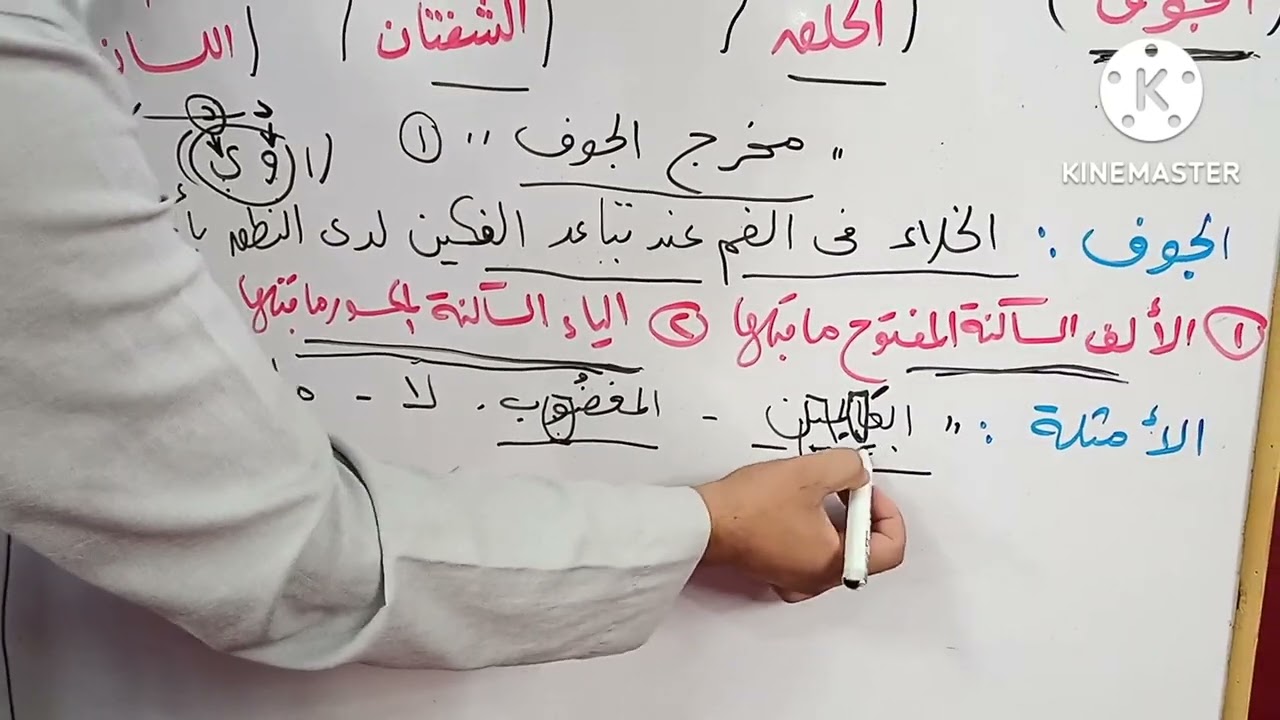 الدرس 👈 ( ٣٧ ) من دروس التجويد الميسر للمبتدئين 🥀 مخارج الحروف 👈 مخرج الجوف 🥀