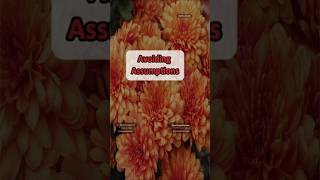 Avoid Assumptions- Eng| Ummulkhair
