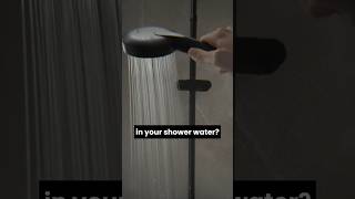 You’re Putting That On Your Body??