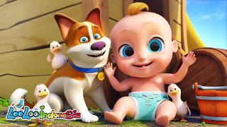 Suara Hewan - Lagu Anak Anak | LooLoo Indonesia 4K Kompilasi