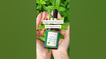 Peppermint Essential Oil | Peppermint Oil | Lafayre