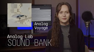 Track Breakdown | Analog Lab - Analog Voyage